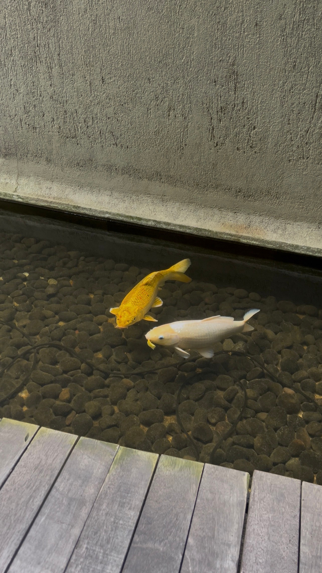 userImage-8