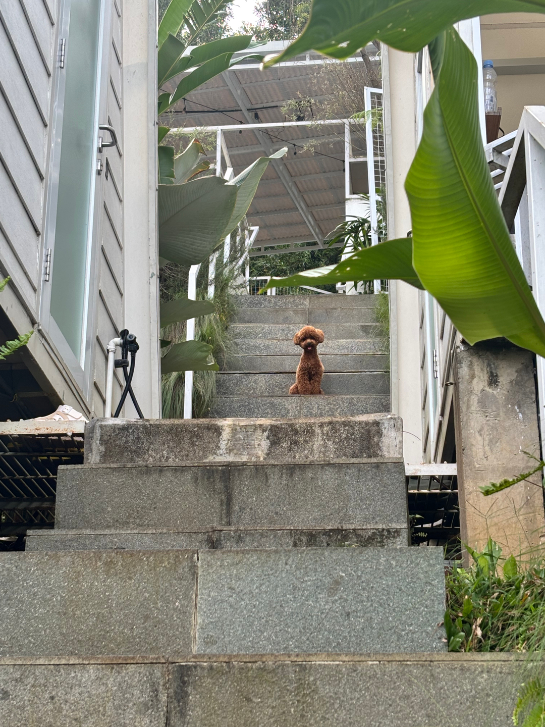 userImage-13