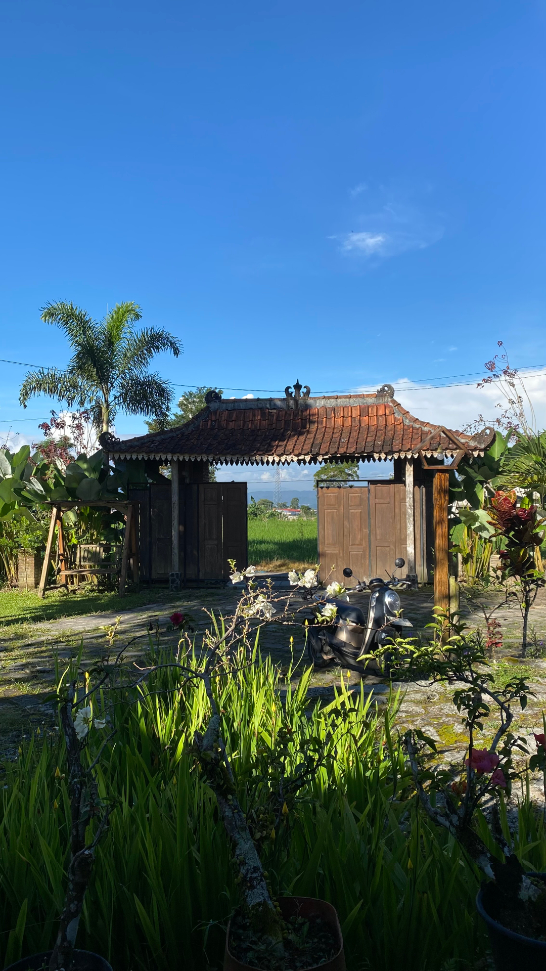 userImage-5