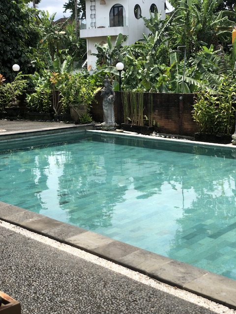userImage-6