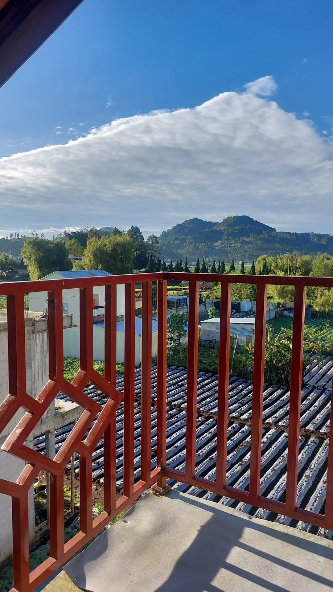 userImage-1