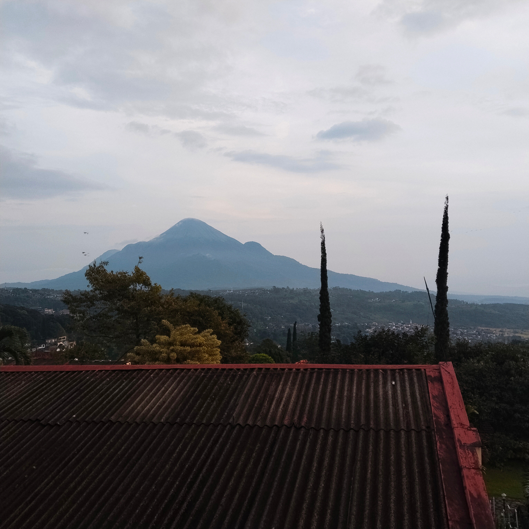 userImage-4