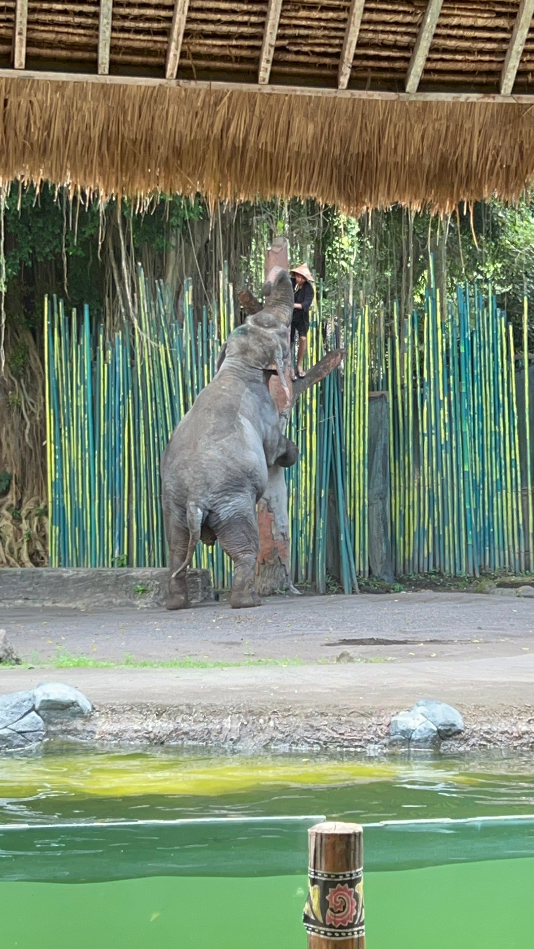 userImage-7