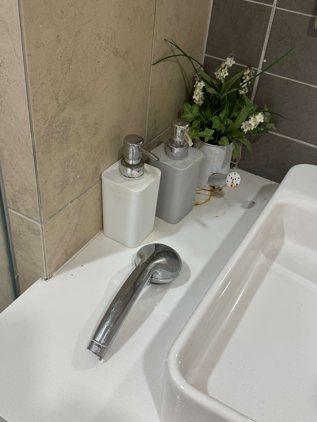 userImage-1