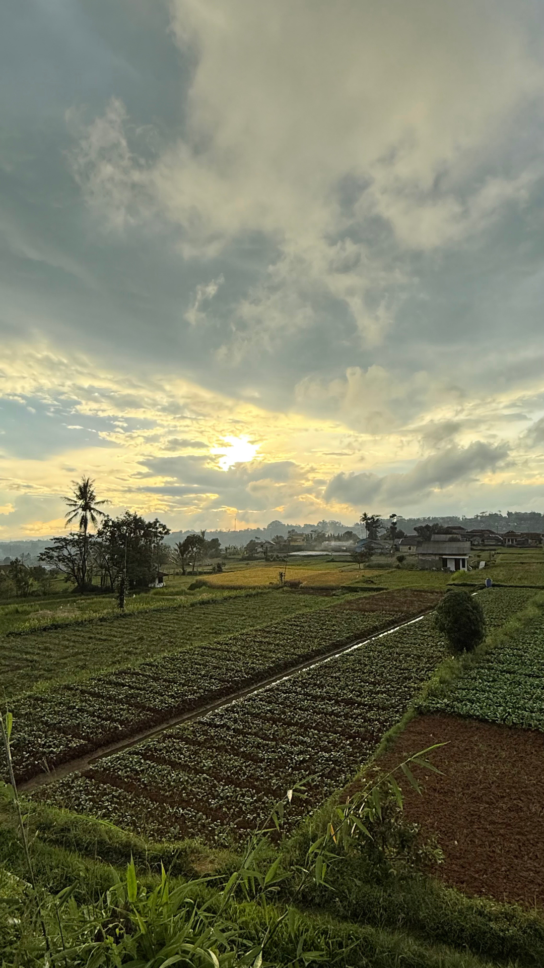 userImage-3
