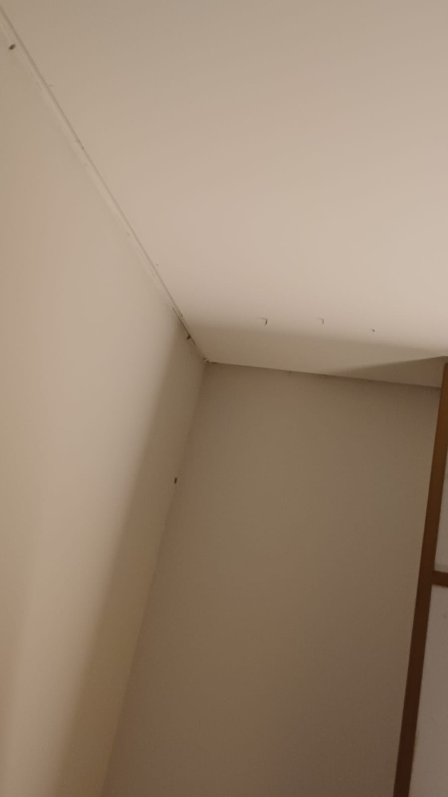 userImage-12
