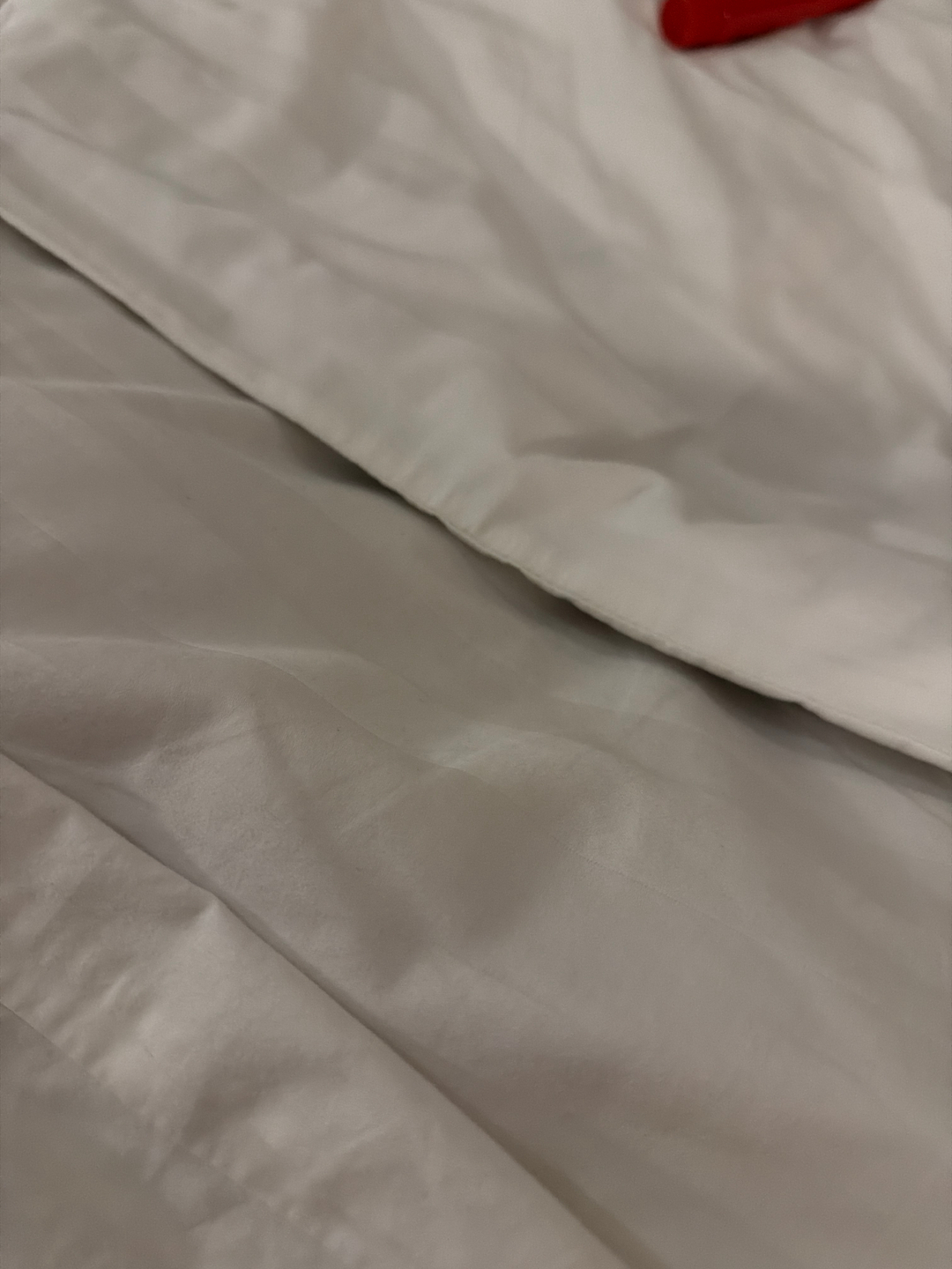 userImage-19