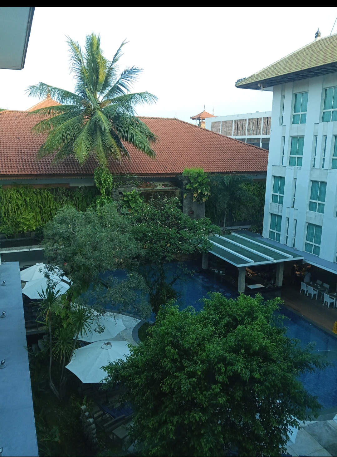 userImage-12