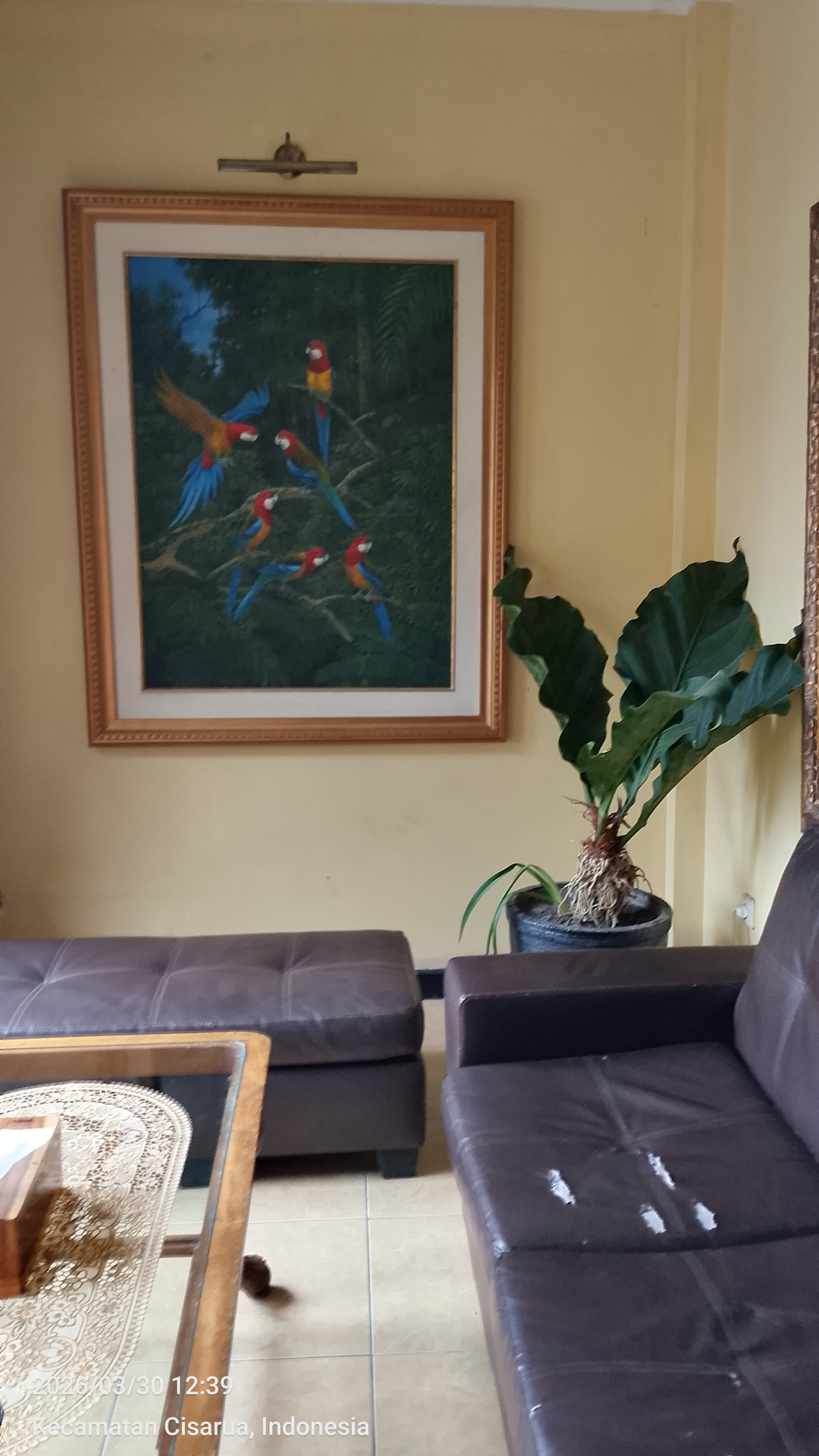 userImage-8