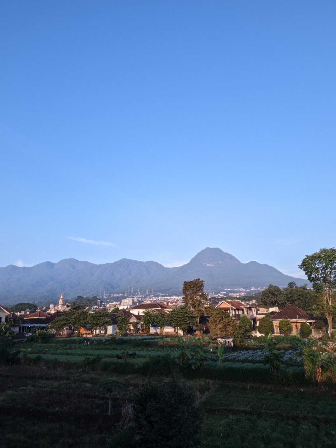 userImage-19