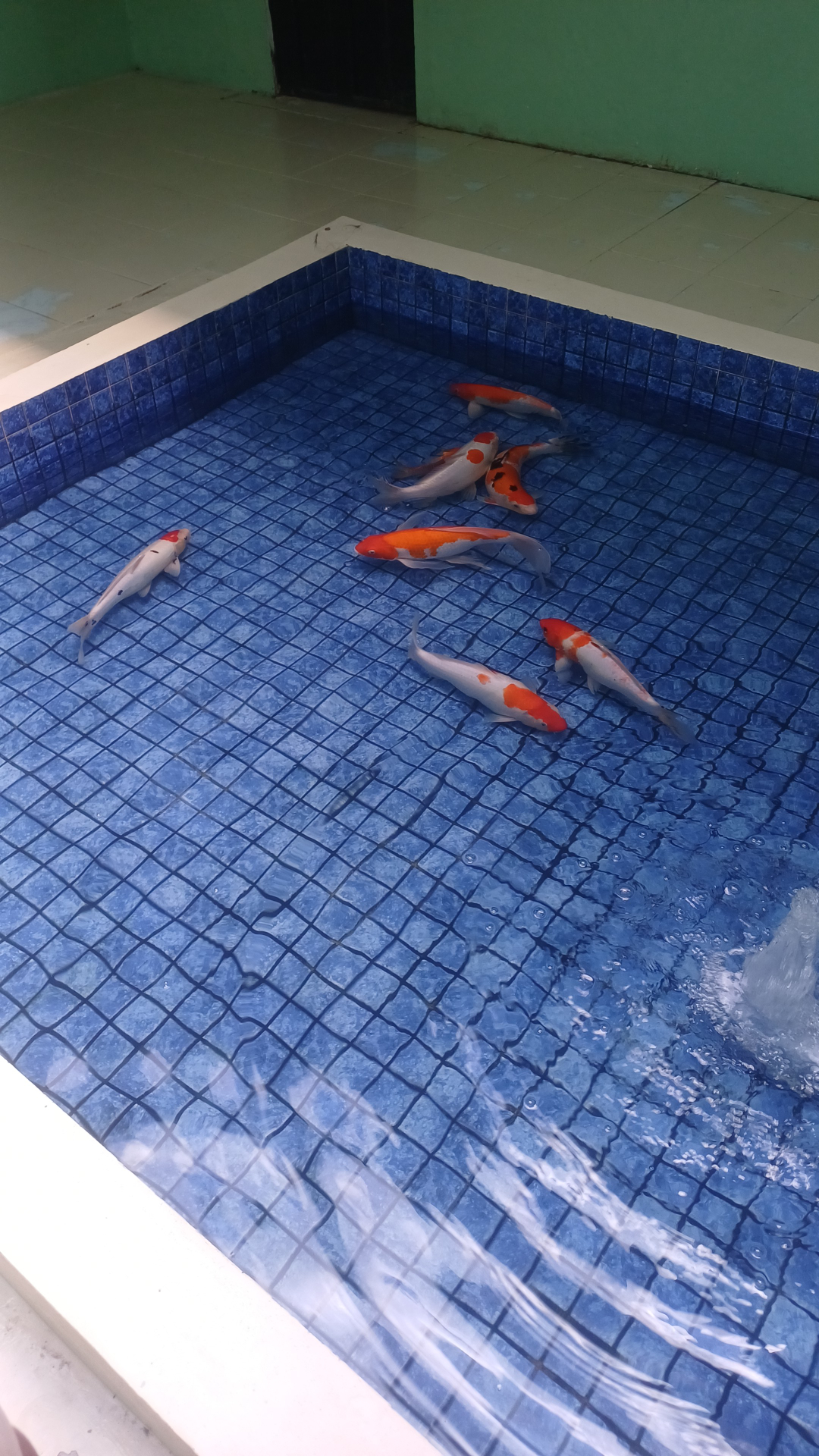 userImage-15