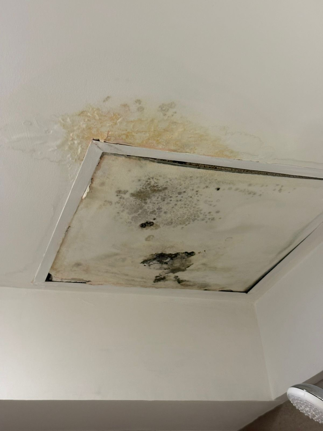 userImage-15