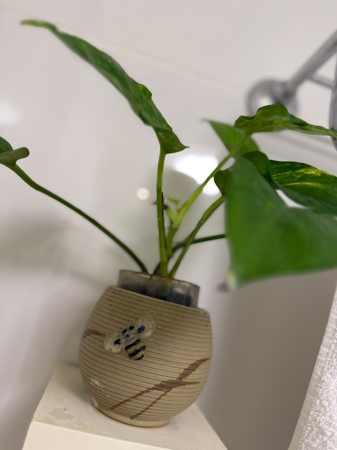 userImage-2