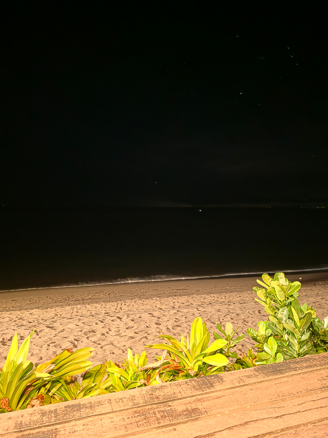 userImage-0