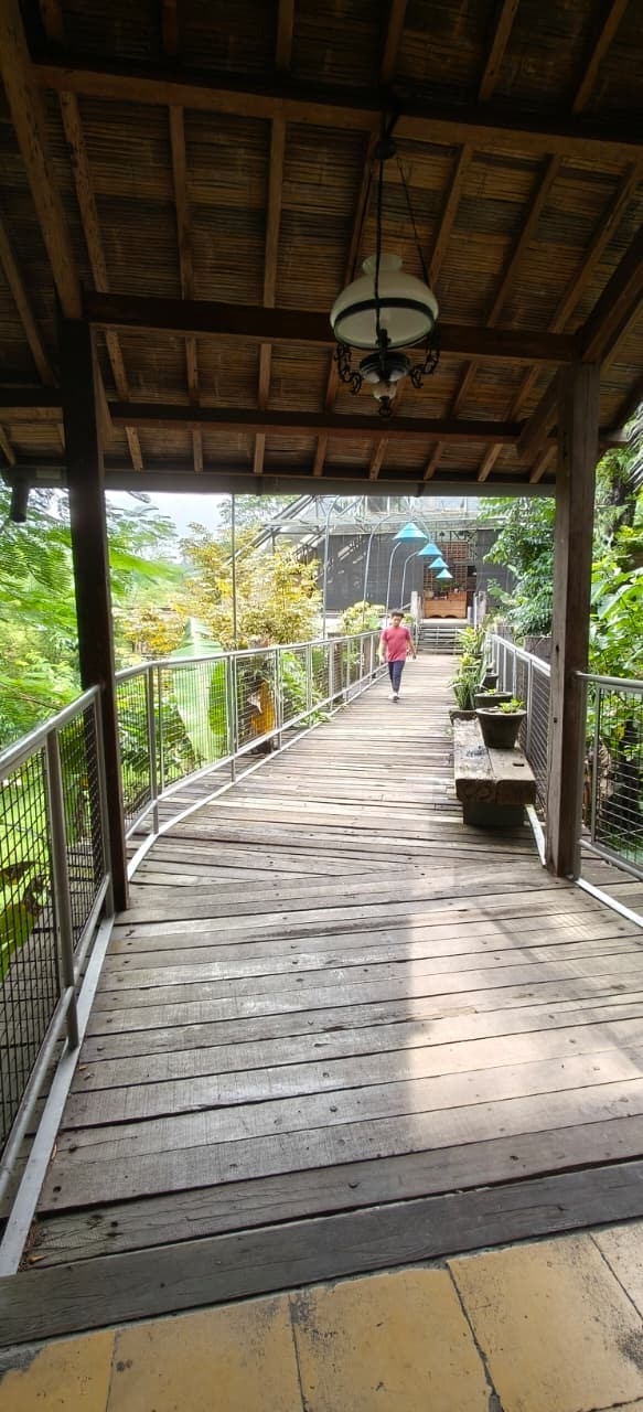 userImage-11