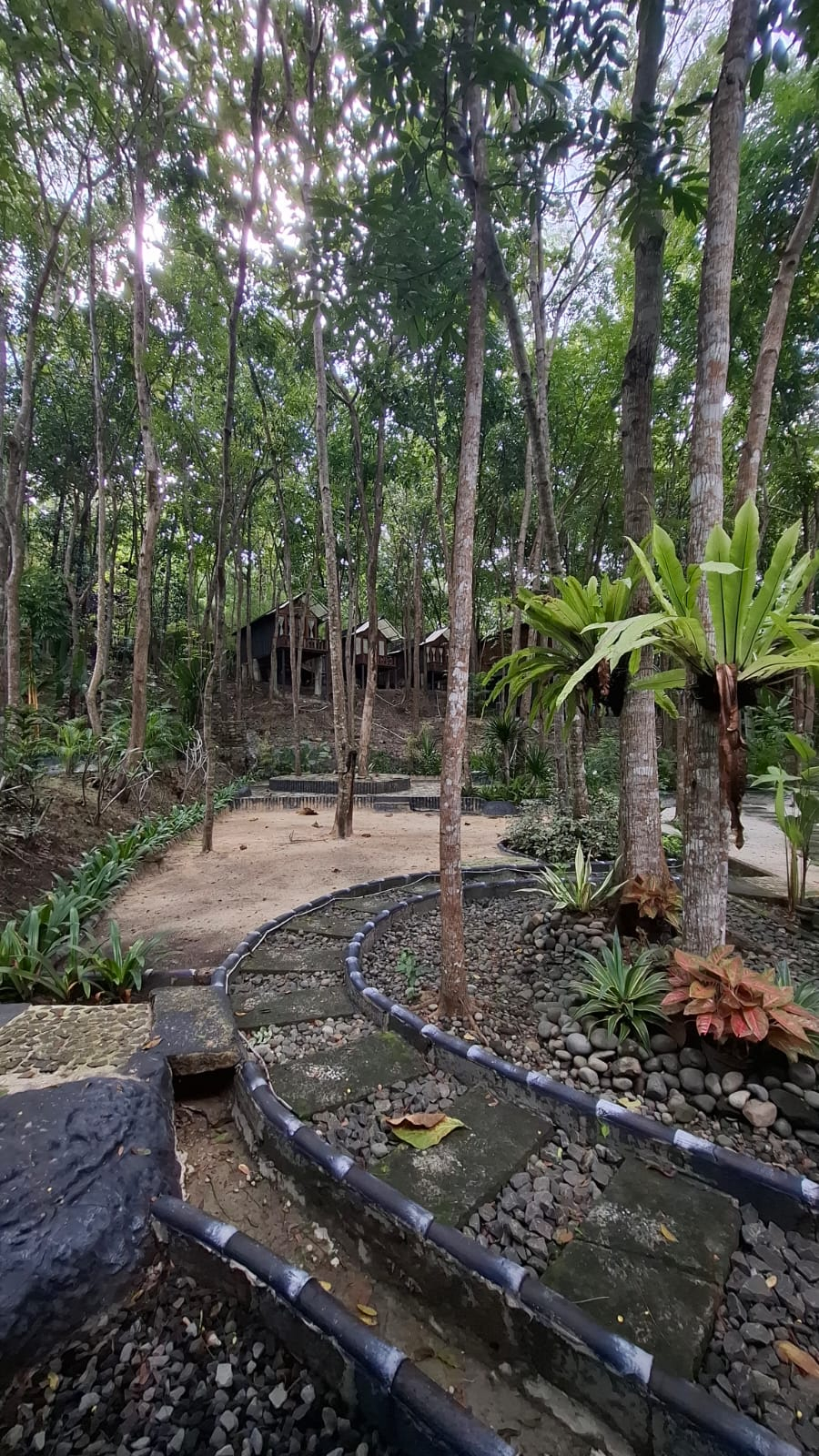 userImage-8
