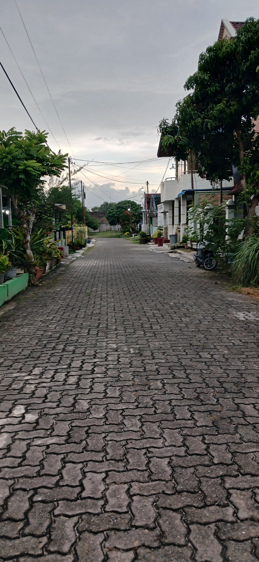 userImage-7