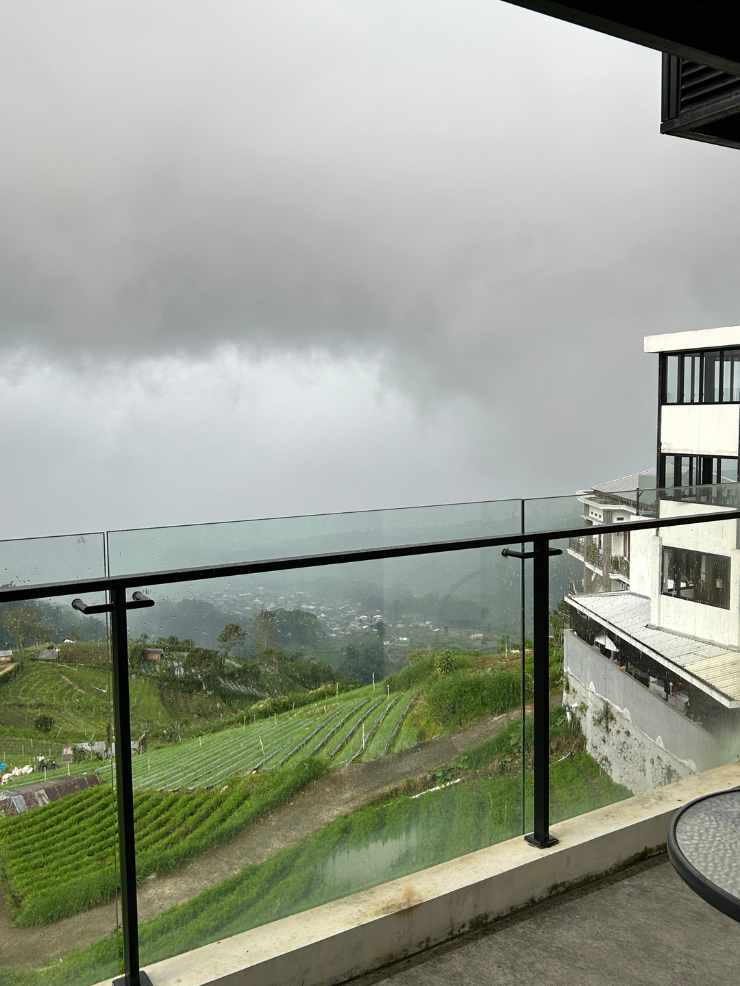 userImage-17