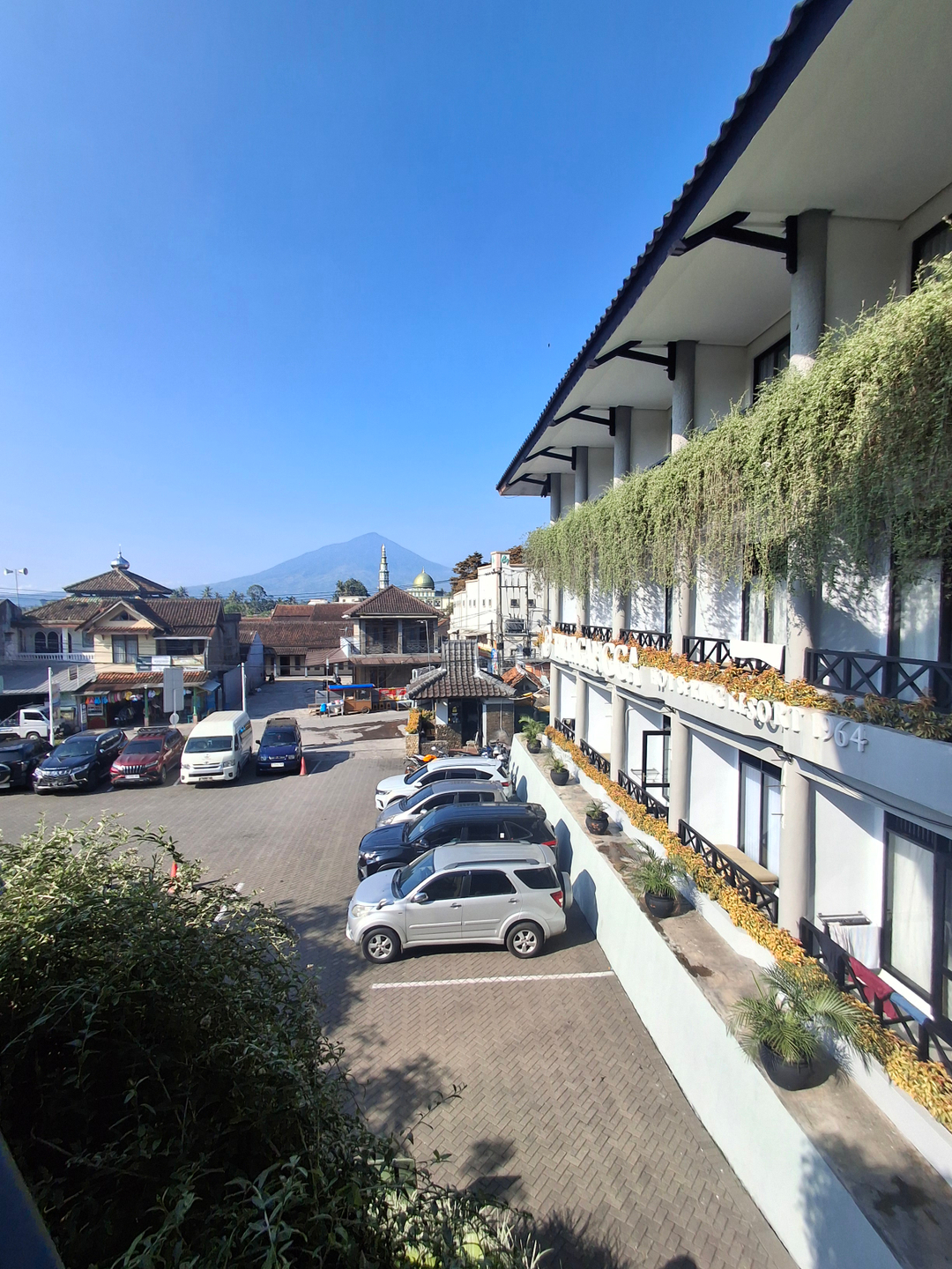 userImage-1