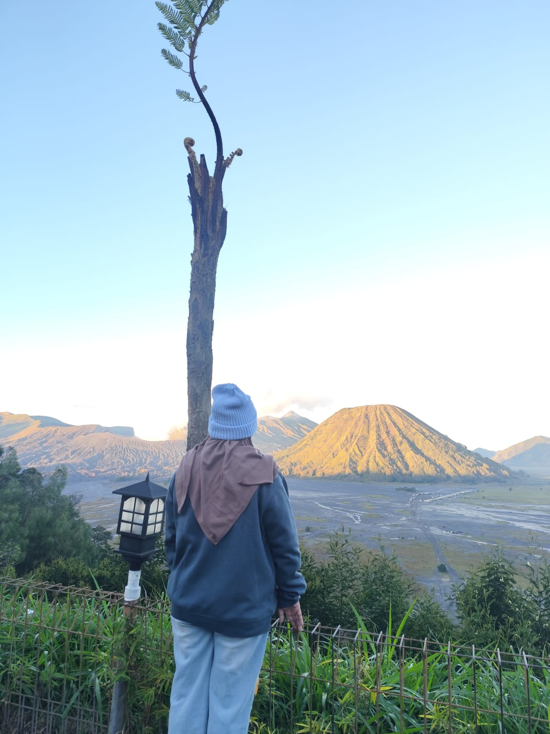 userImage-1