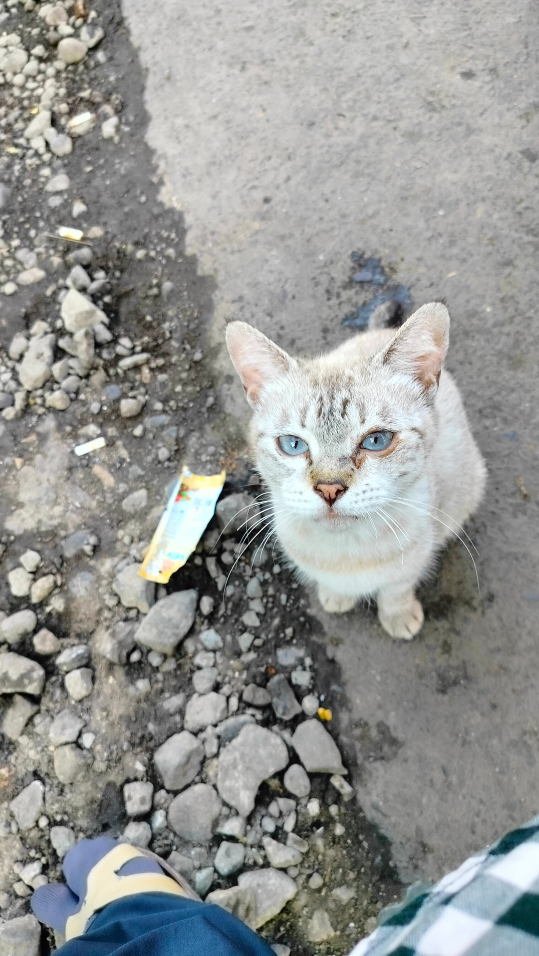 userImage-1