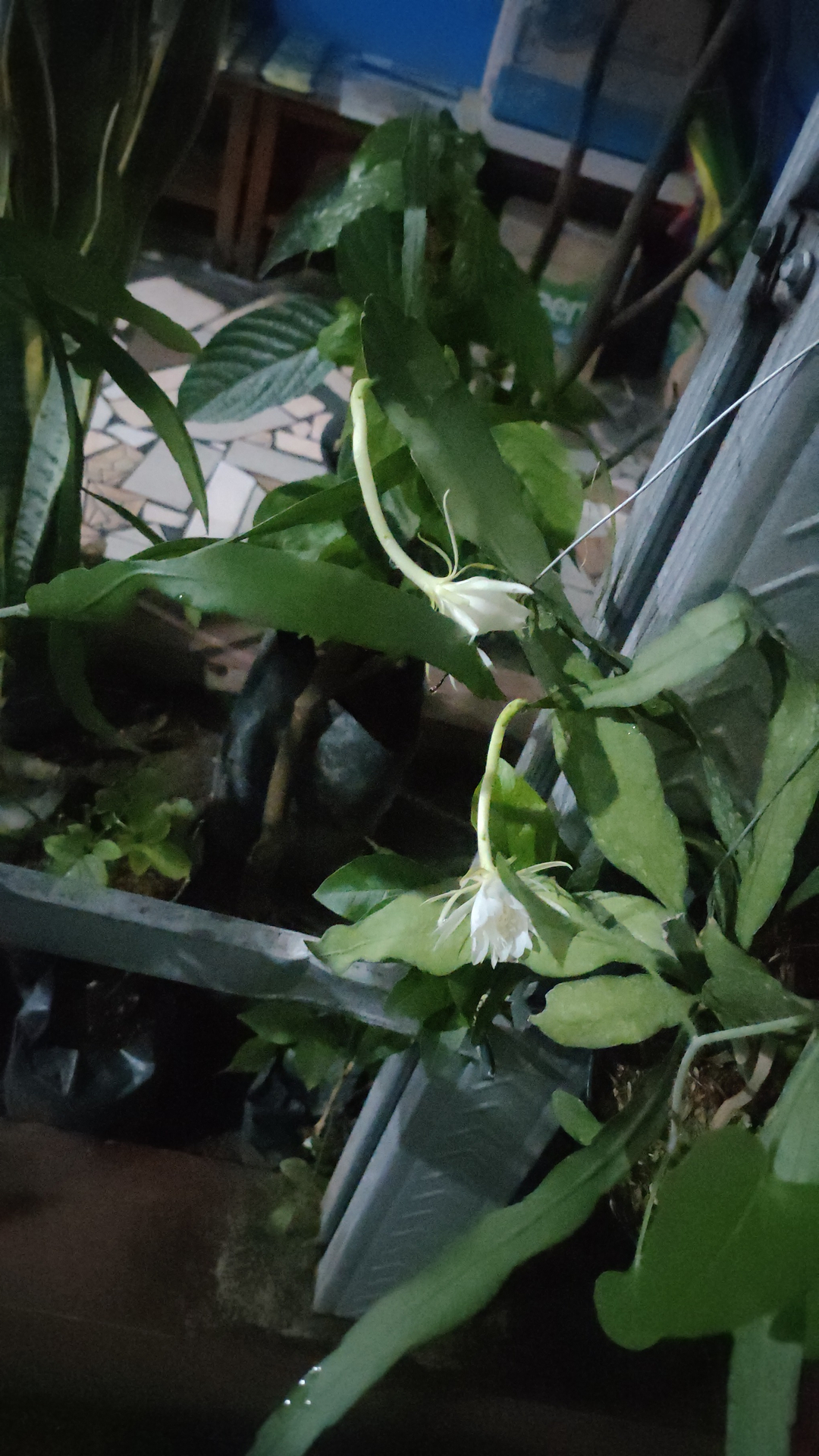 userImage-7
