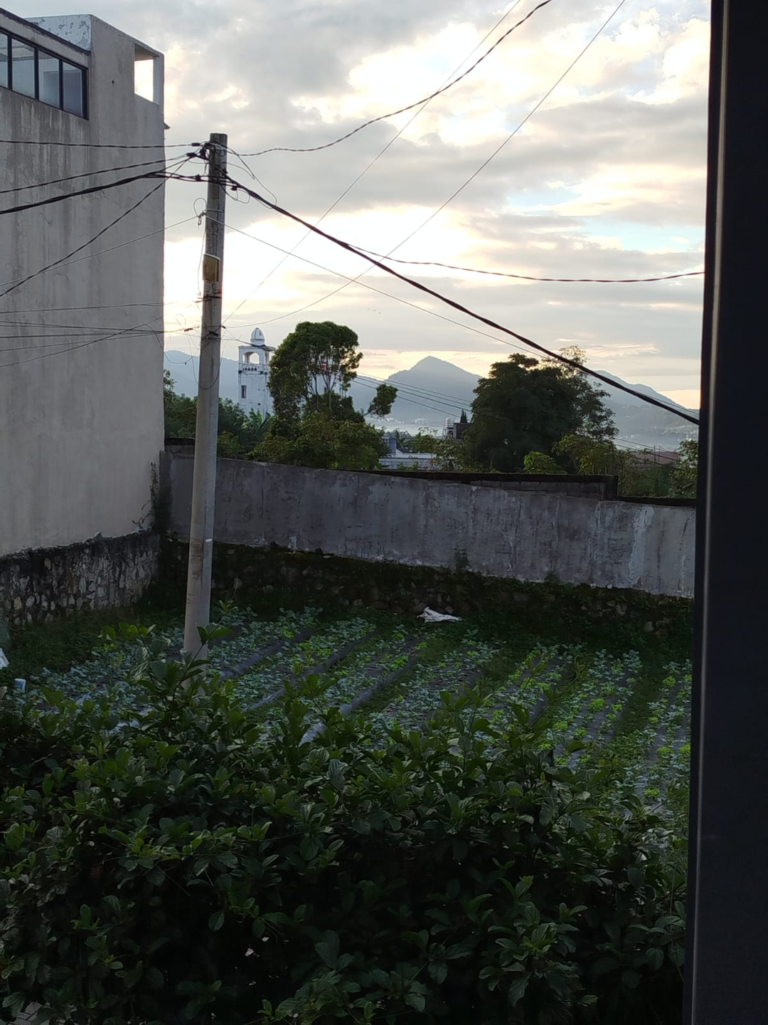userImage-17