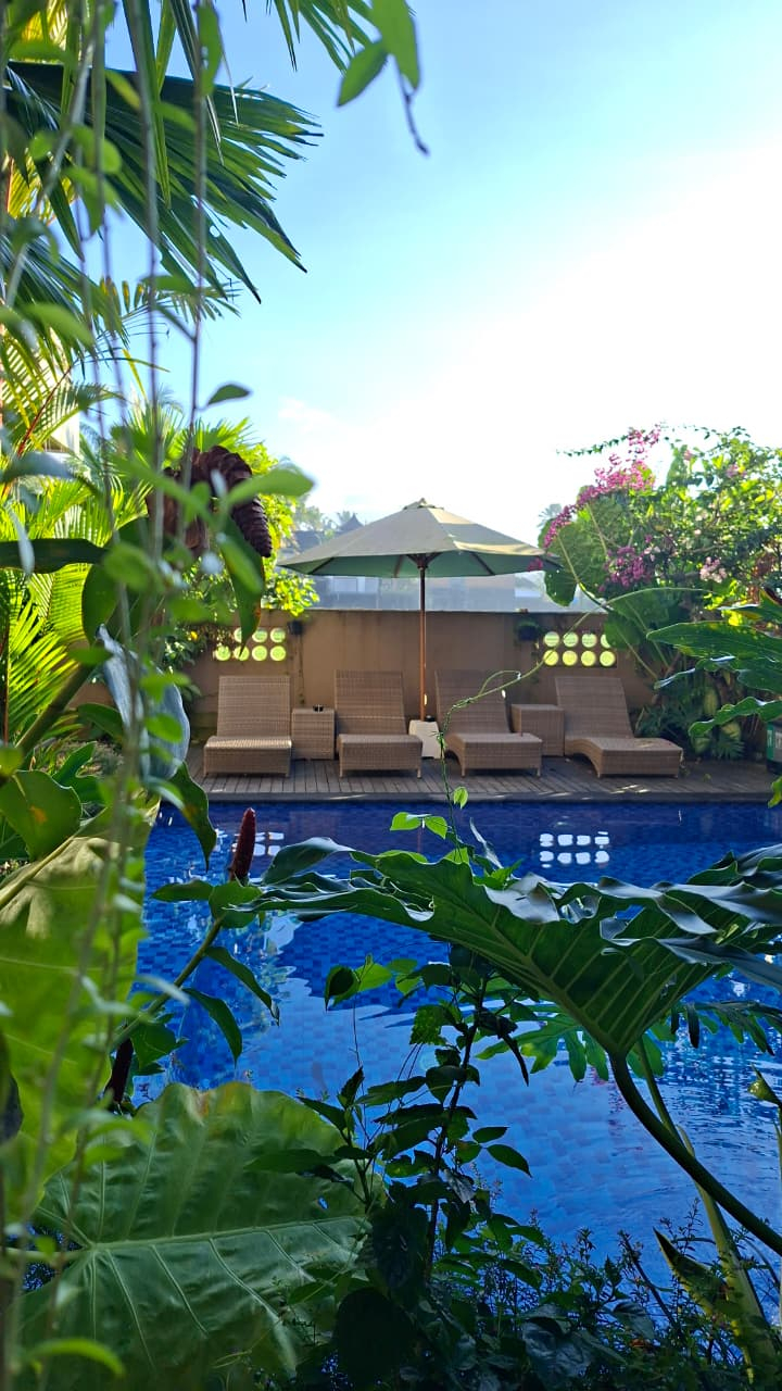 userImage-1