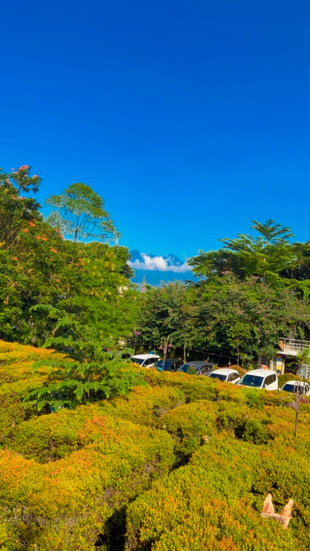 userImage-10