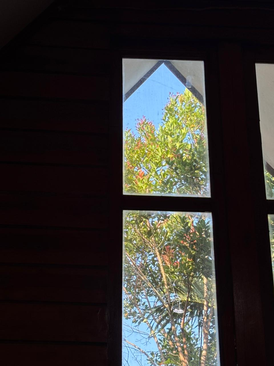 userImage-16