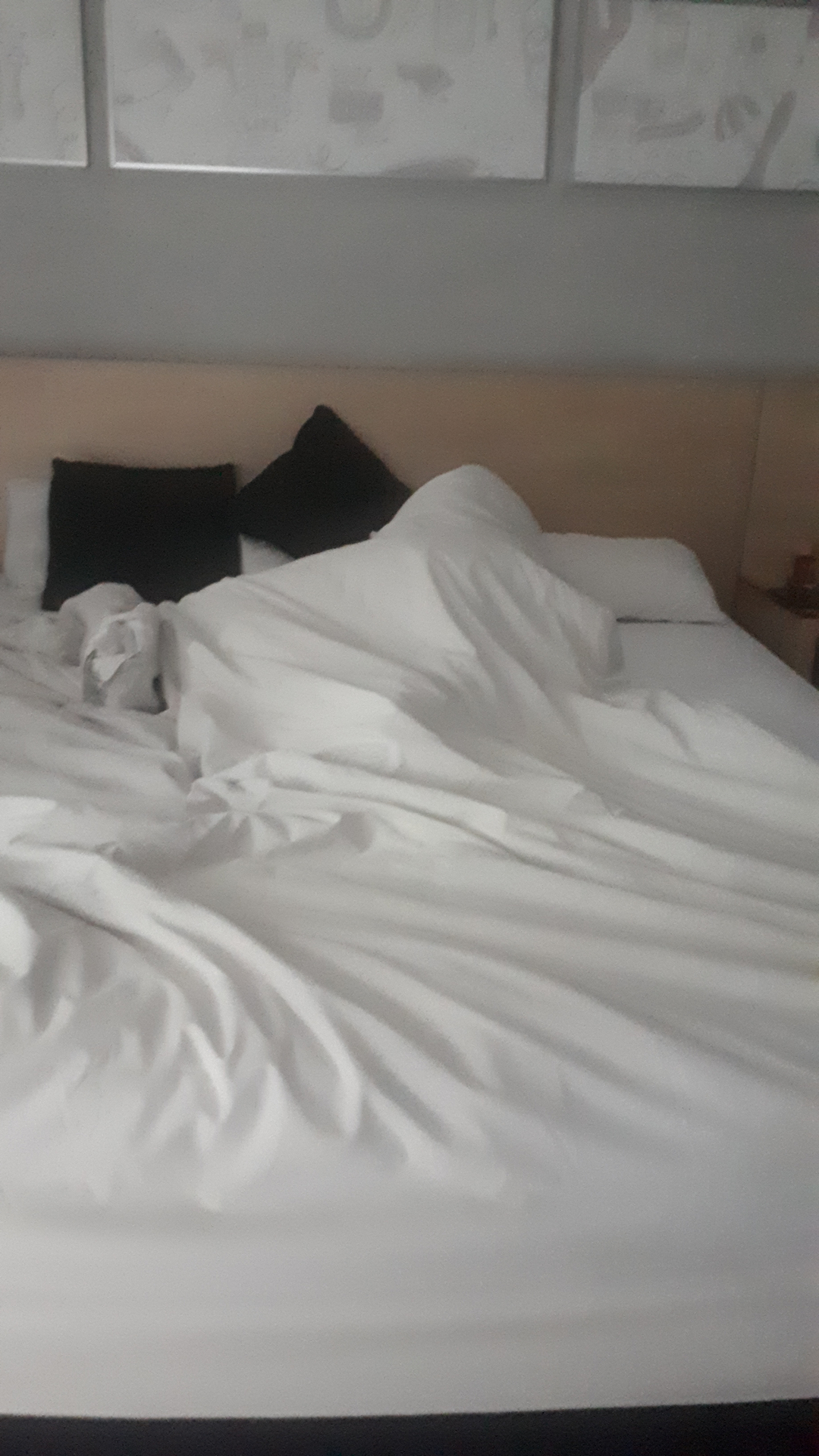 userImage-17