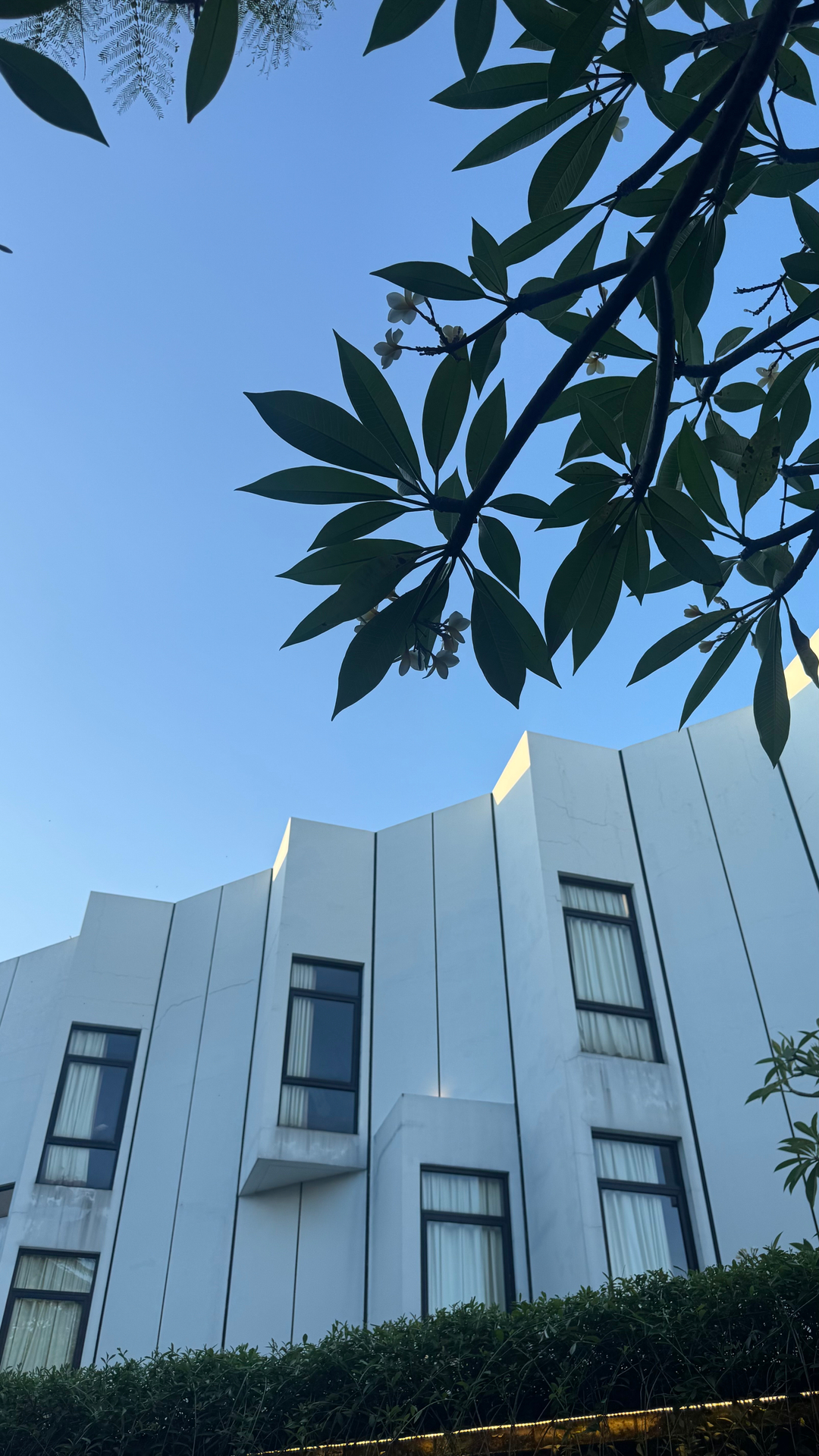 userImage-15