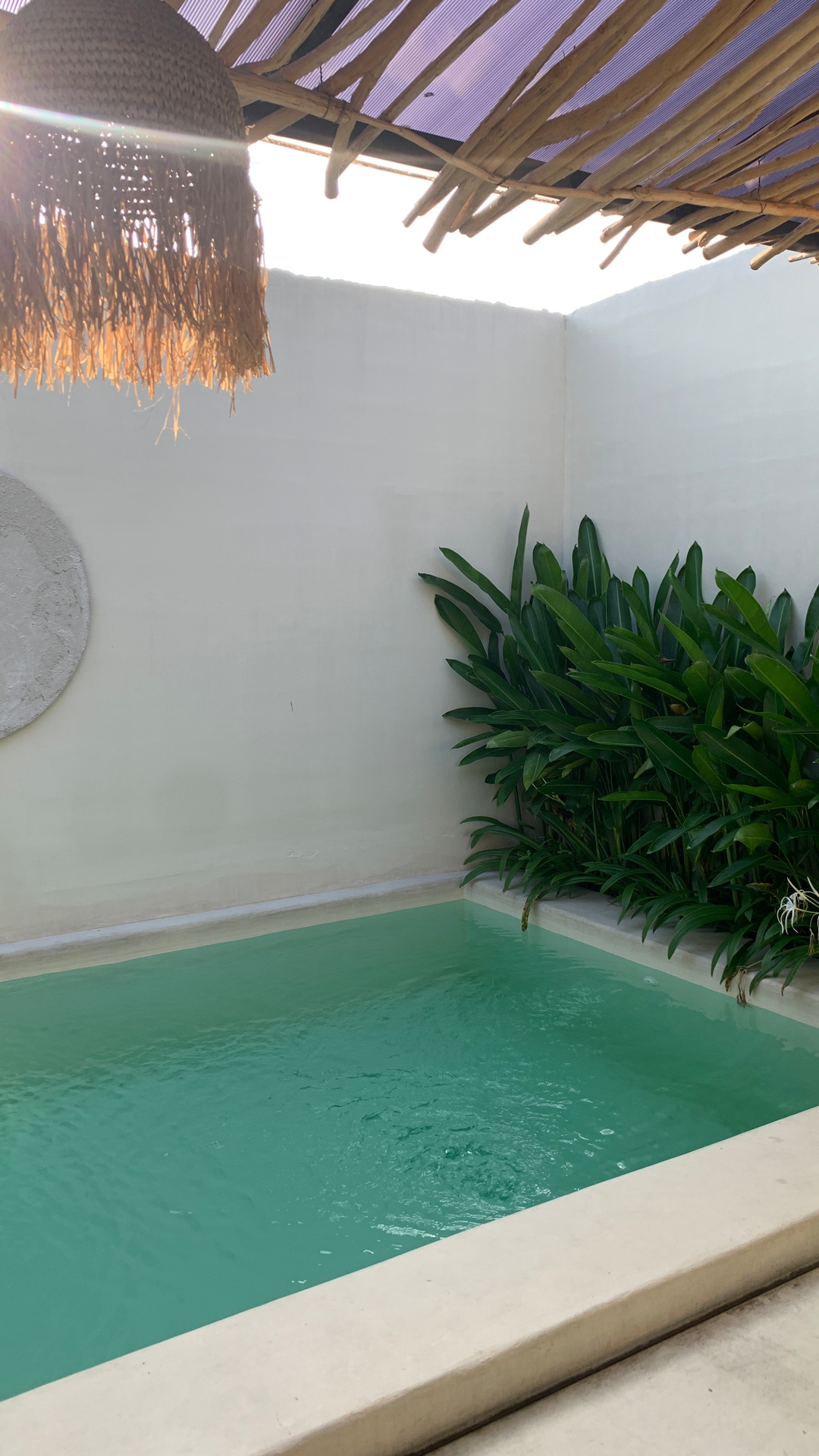 userImage-3