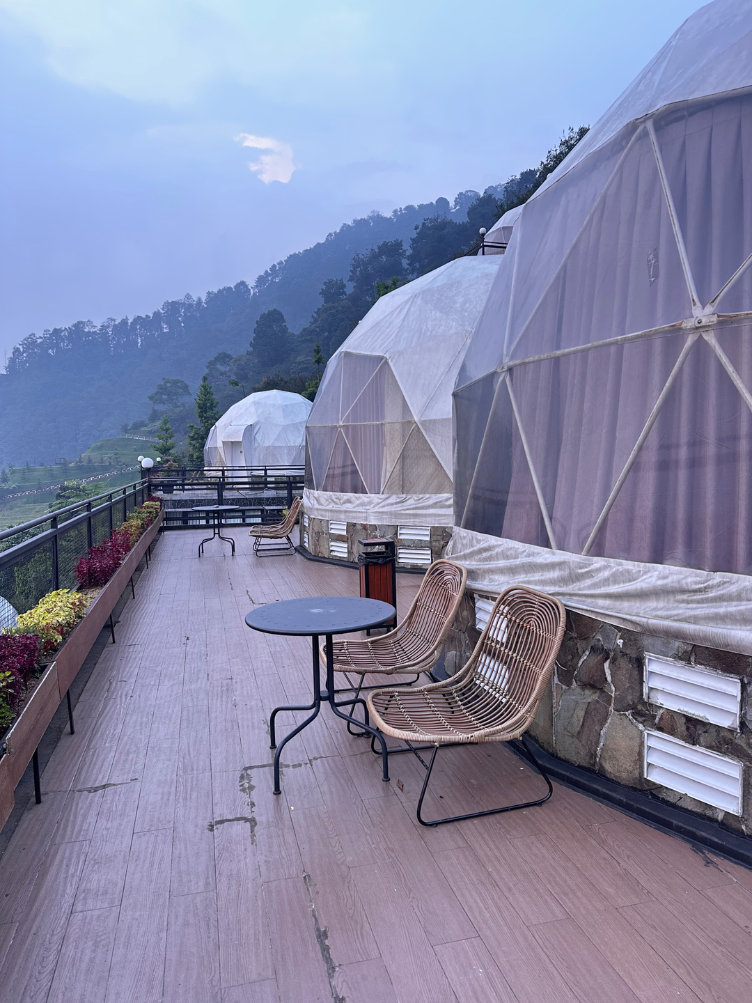userImage-2