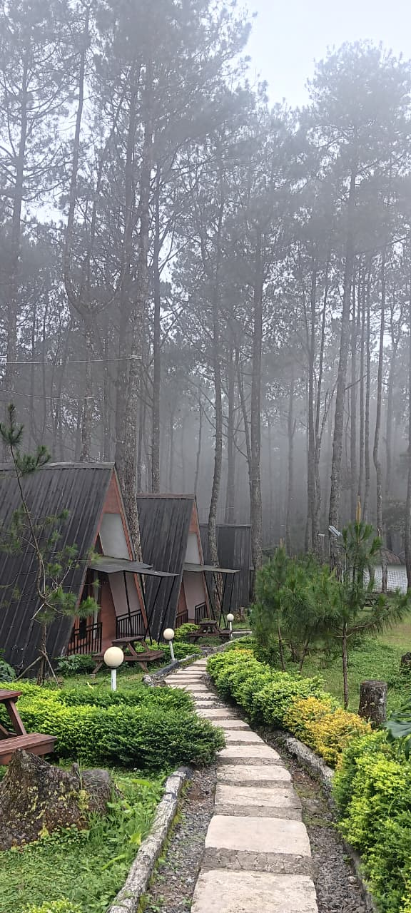 userImage-1