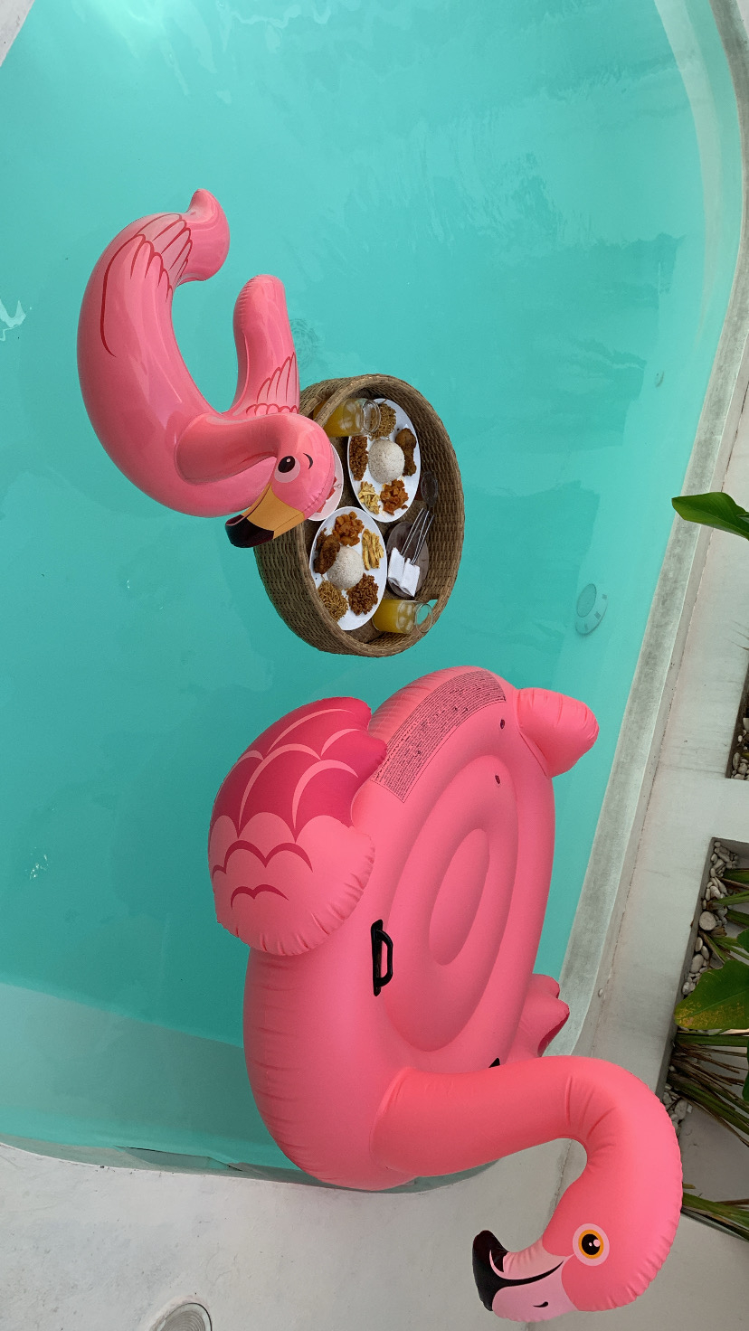 userImage-1