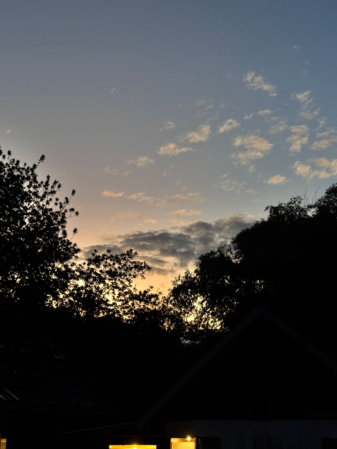 userImage-1