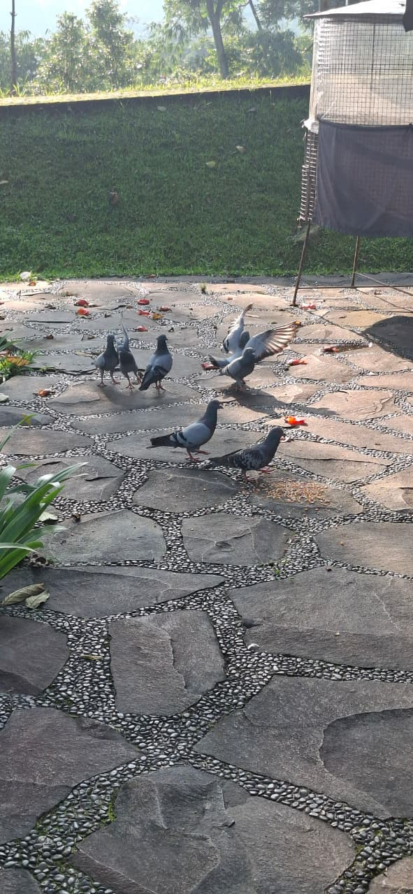 userImage-6