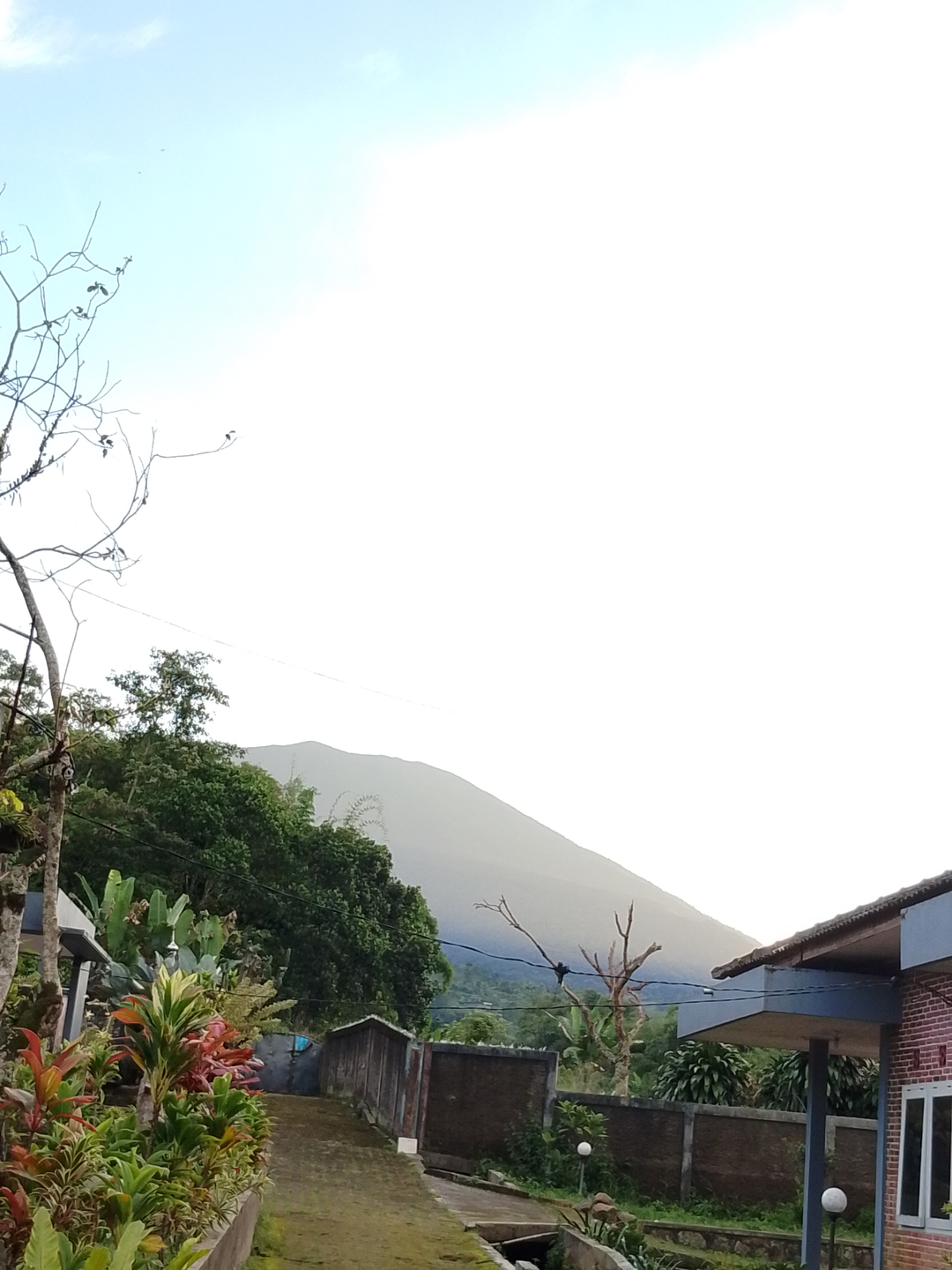 userImage-1