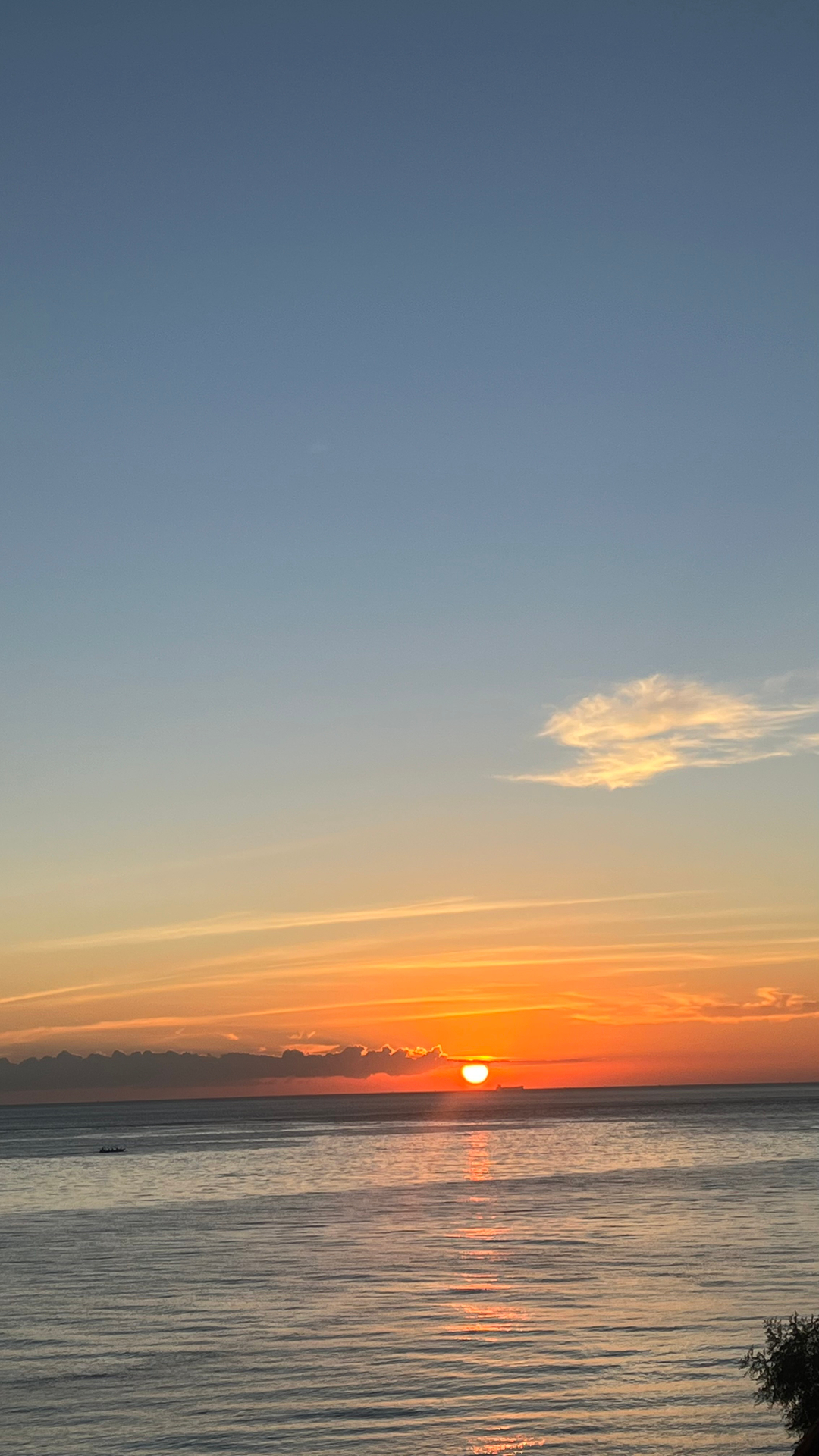 userImage-1