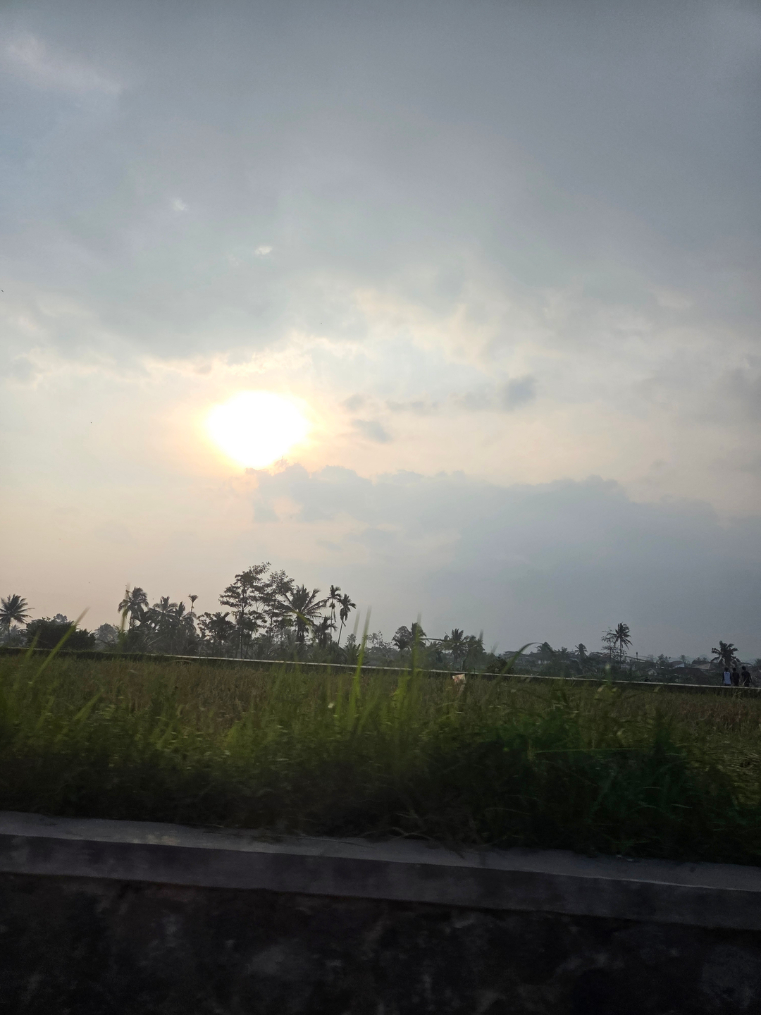 userImage-15