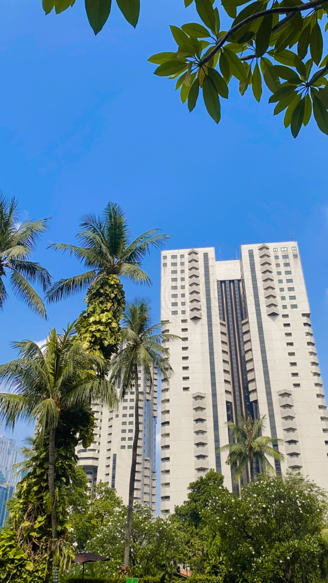 userImage-19