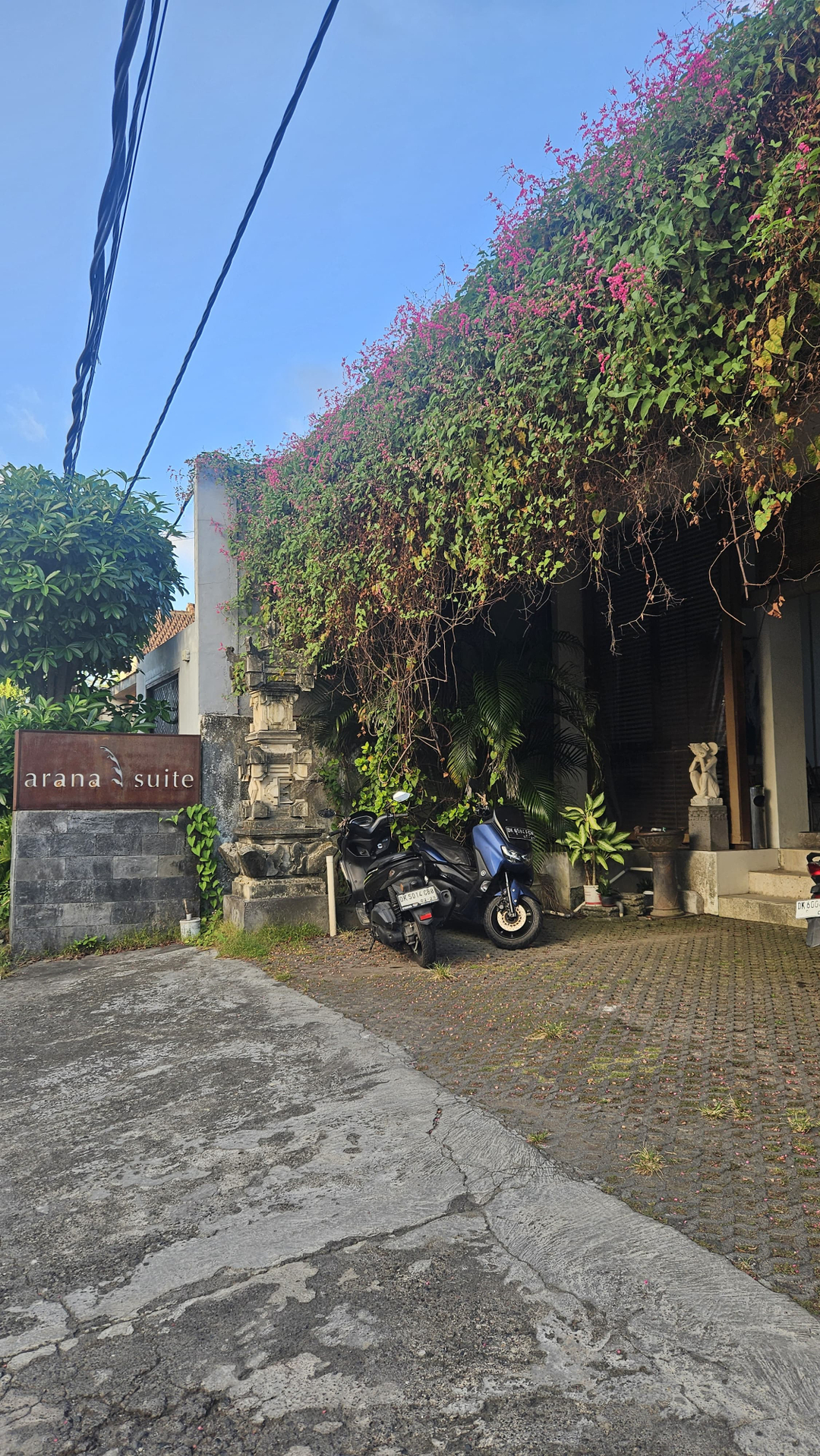 userImage-12