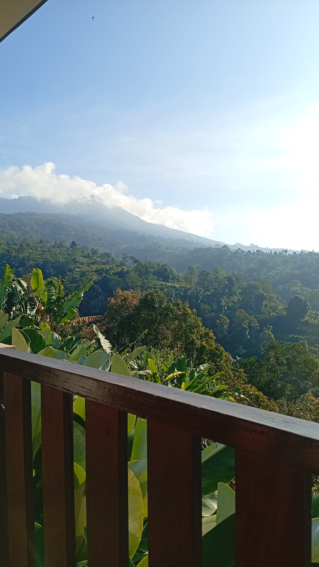 userImage-1