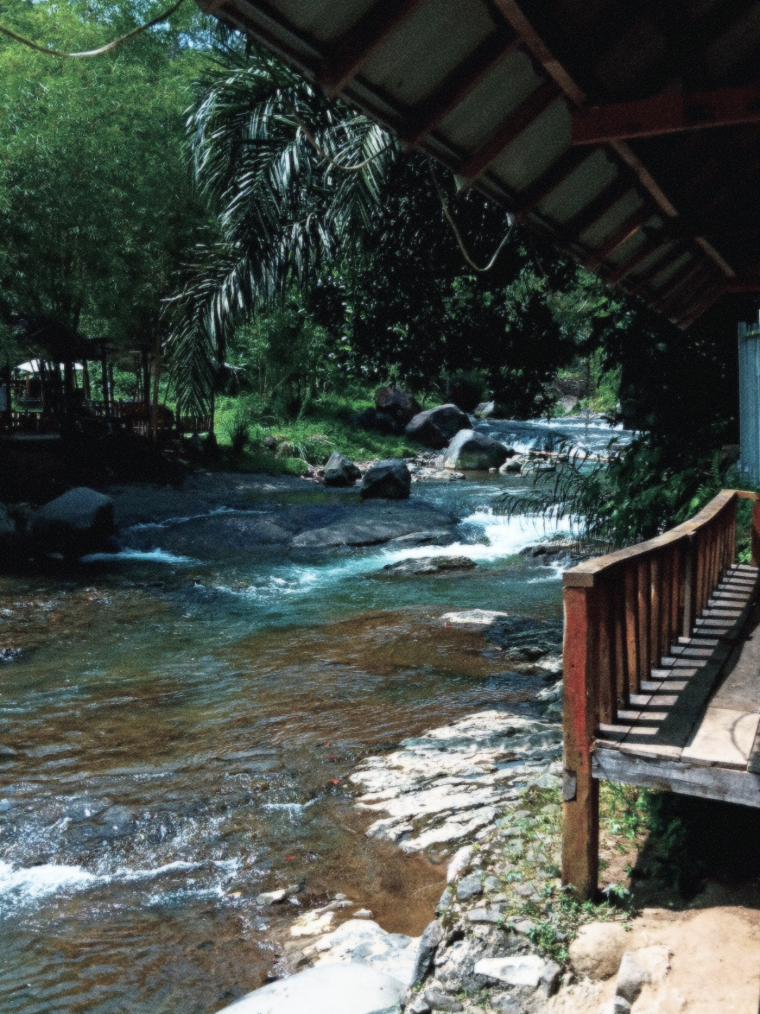 userImage-10