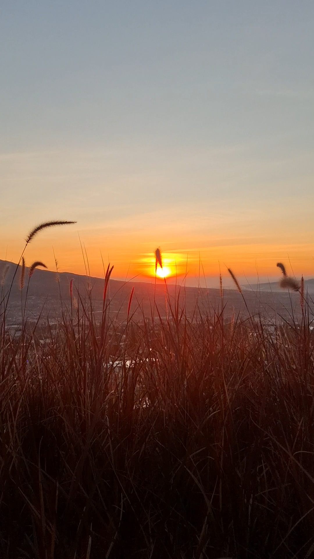 userImage-3