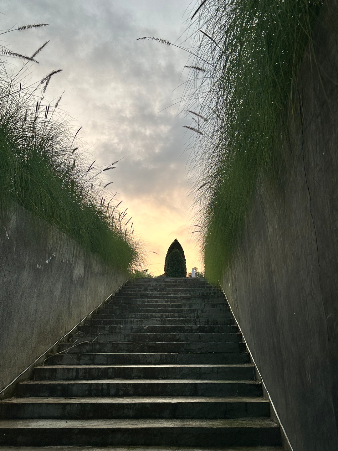 userImage-1
