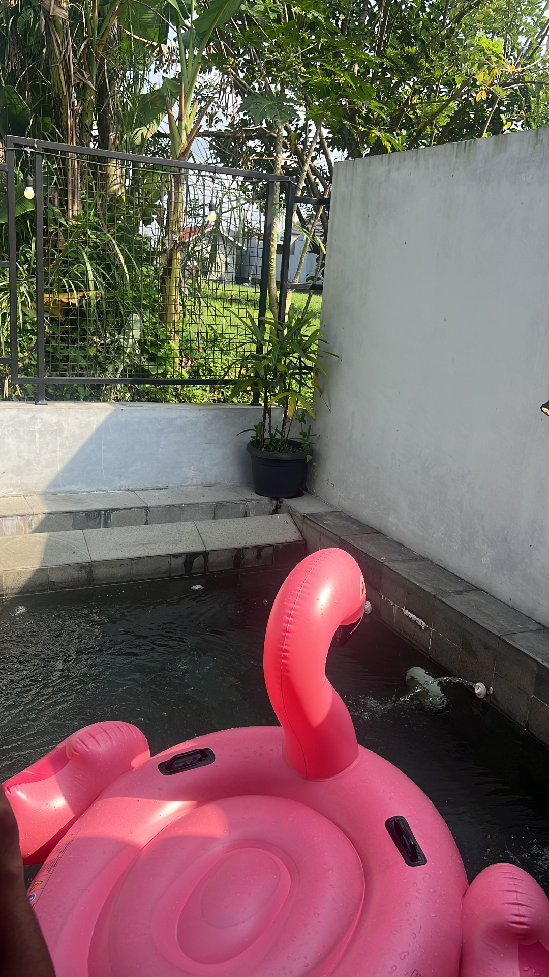 userImage-1