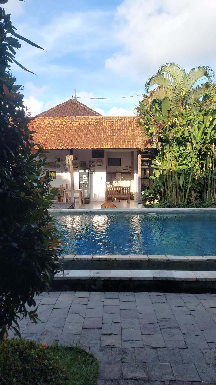 userImage-10