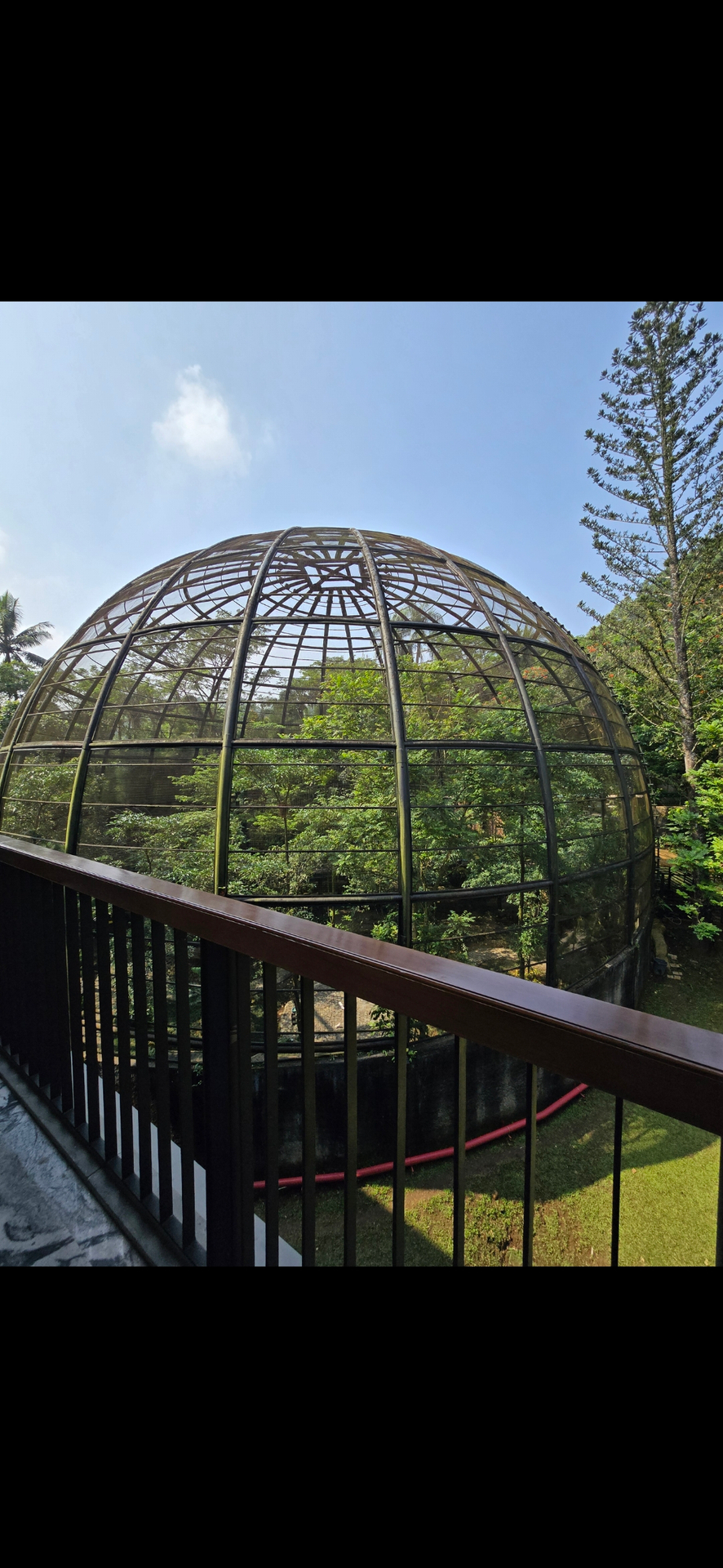 userImage-8
